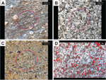 Appendix 1 Thumbnail